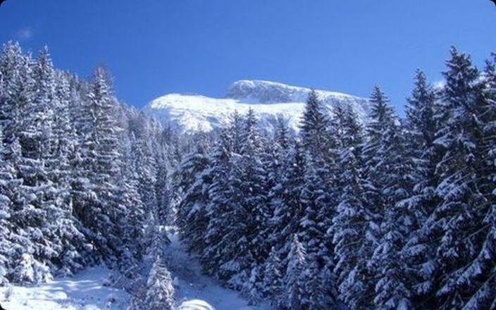 Donnerkogel im Schnee