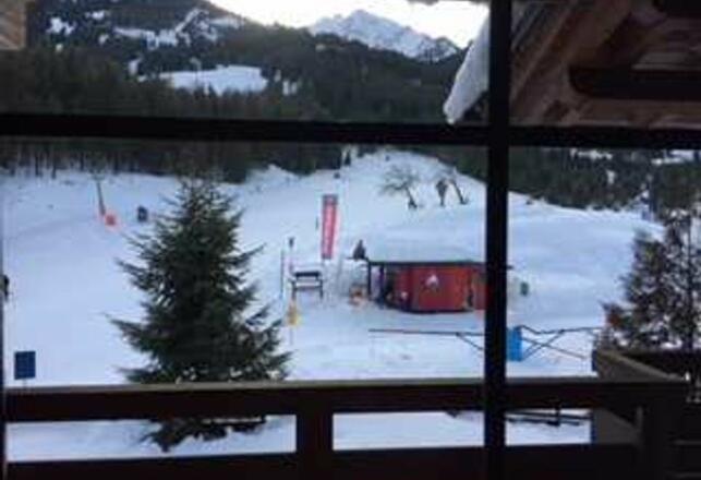 Ausblick der Fewo ALPIN