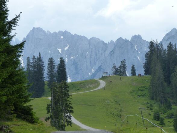 Haus Pistenblick blick auf Dachstein