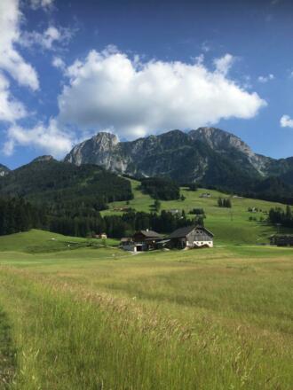 Haus Pistenblick Sommer wiesen