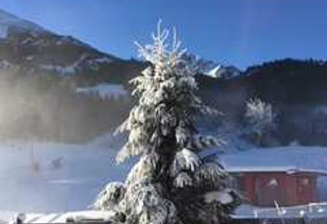 Ausblick  der Fewo ALPIN