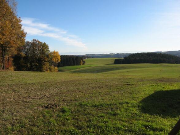 Blick vom Hof