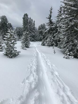 Winterlandschaft in unmittelbarer Nähe