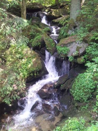Bacherl im Rannatal