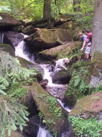 Natur pur