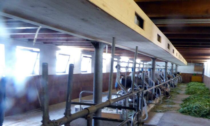 Bauernhof-Hotel-Almhof-Urlaub-in-Neustift-Hotel-in