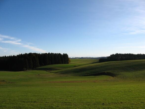 Blcik vom Hof