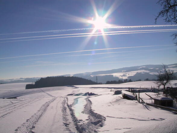 Spuren im Schnee