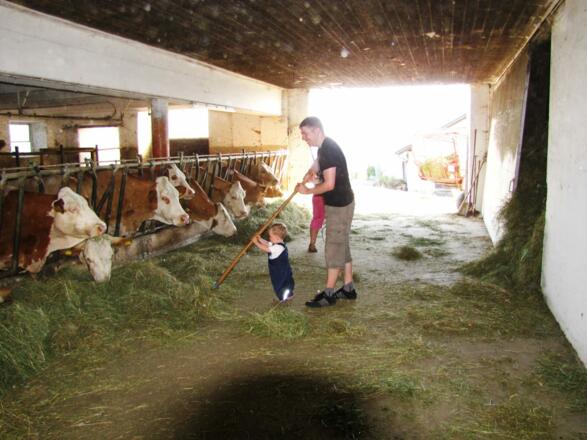 Stalllarbeit