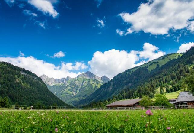 Reiterhof Berggut Gaicht