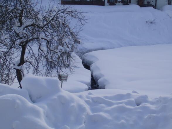 Ist es nicht total sch�n bei uns im Winter?