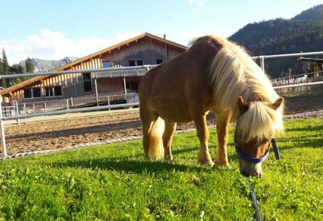 Reiterhof Berggut Gaicht