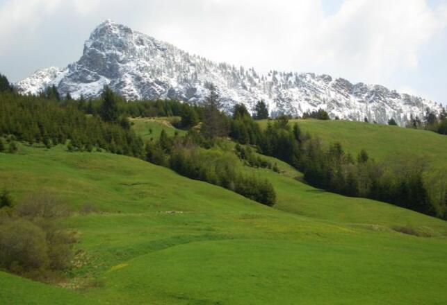 Bio-Arche-Bauernhof Waldesruh