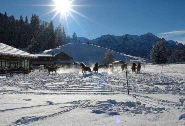 Reiterhof Berggut Gaicht