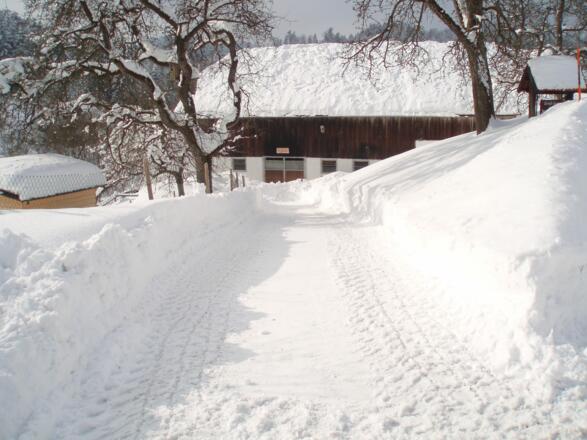 der Weg zum Stall