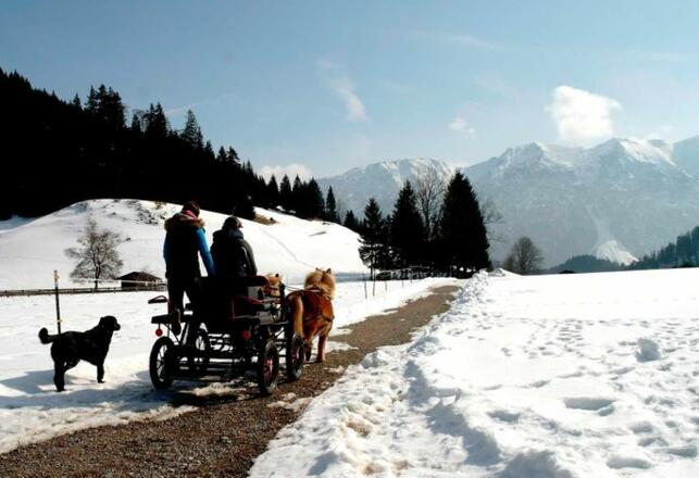 Reiterhof Berggut Gaicht