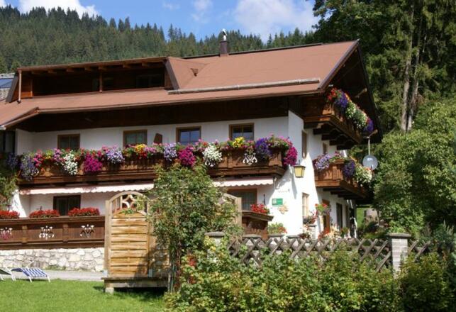 ARCHE-Bauernhof Waldesruh