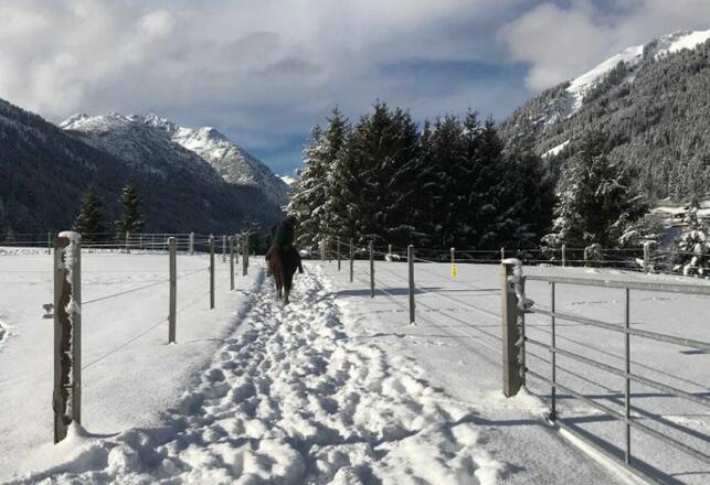 Reiterhof Berggut Gaicht