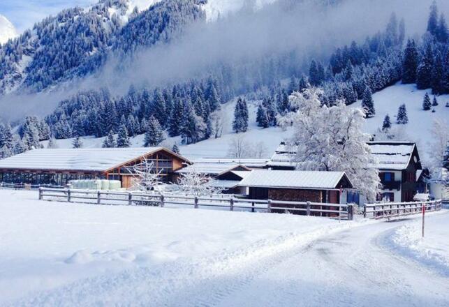 Reiterhof Berggut Gaicht