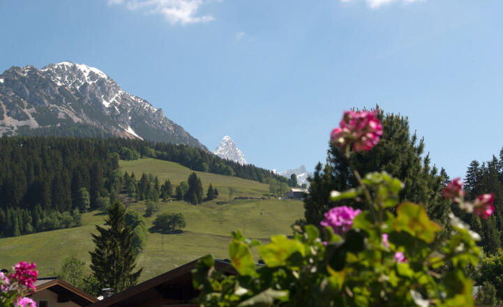 Blick vom Balkon aus