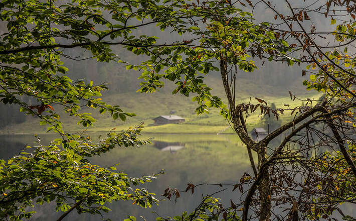 Jausenststion Litzlalm