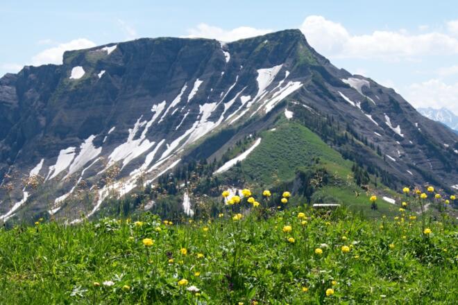 Blick vom Alpkopf zum Hohen Freschen