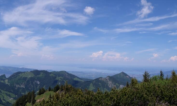 Bodenseeblick vom Alpkopf