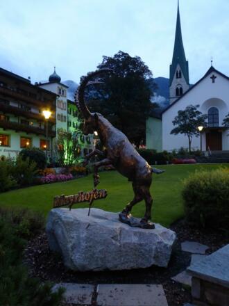 Der Mayrhofener Steinbock