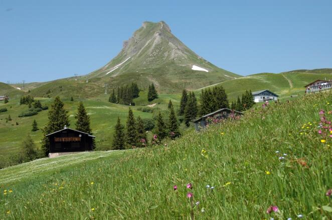 Damülser Mittagsspitze