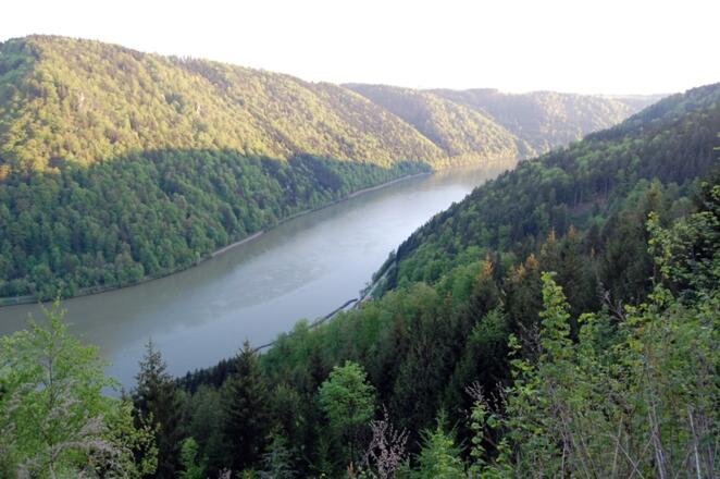 Am Donauschlingenweg