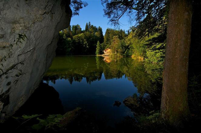Berglsteinersee im Sommer