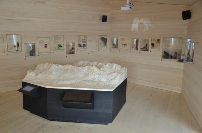 Der &quot;Naturraum Karwendel&quot; auf der Umbrüggler Alm hält zahlreiche Überraschungen parat