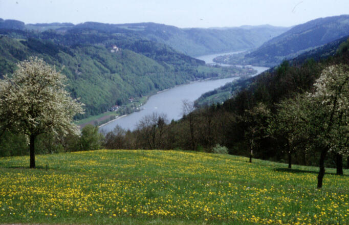 Donaublick Flenkental