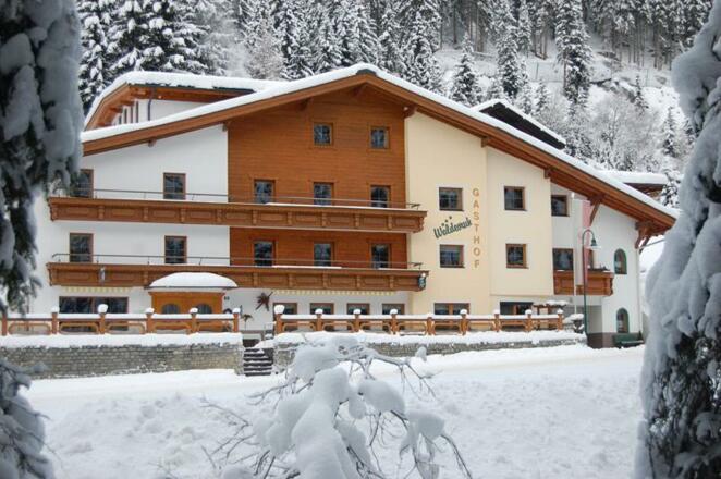 Waldesruh Wintertraum