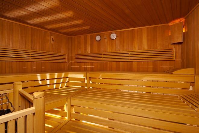 Wellness Biosauna