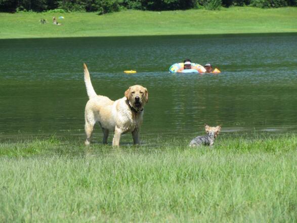 Seenspass für die ganze Familie