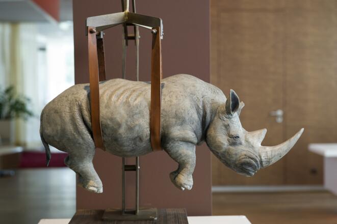 Boutique Hotel am Domplatz in Linz