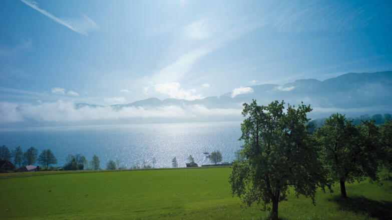 Gasthaus Schoenberger - Panoramablick auf den See und das Gebirge 1 %c2%a9 Schoenberger