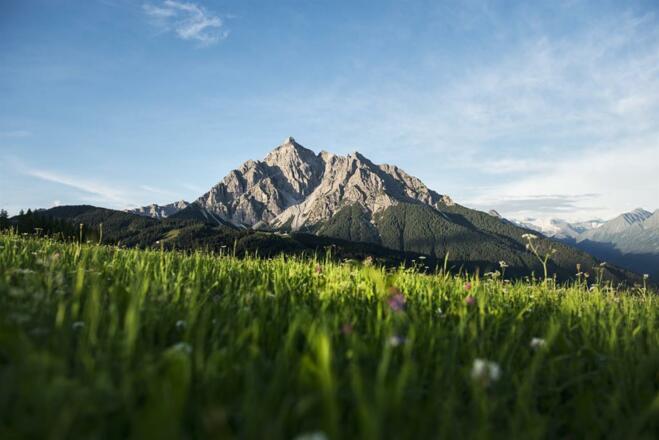 55ec29e1-b5a8-4917-bdd0-49b7c3037ca9