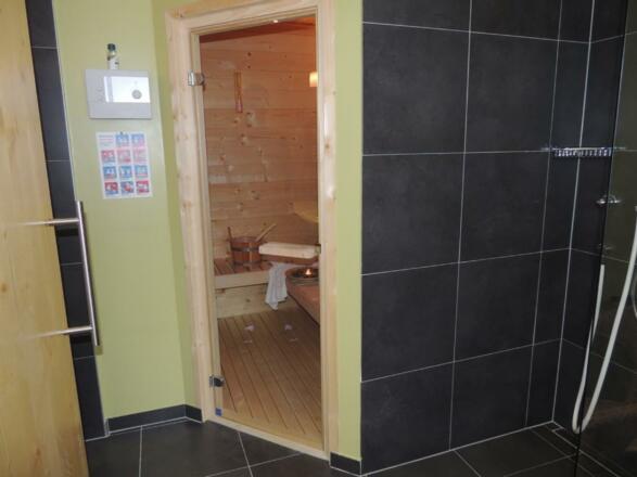 Blick in die Sauna, Dusche mit zusätzl. Kneipp-Dus