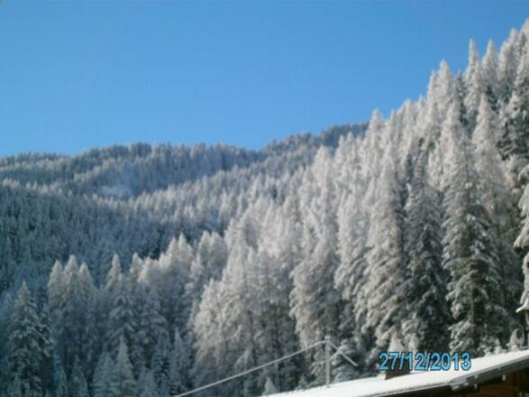 Hausbilder Hirschenhof 030