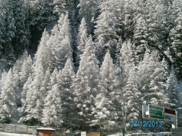 Hausbilder Hirschenhof 028