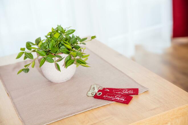 LE-180123-Apart-Ida-Soelden-3319