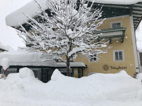 9+gLIF8aTrOUH4cFmhmWcQ