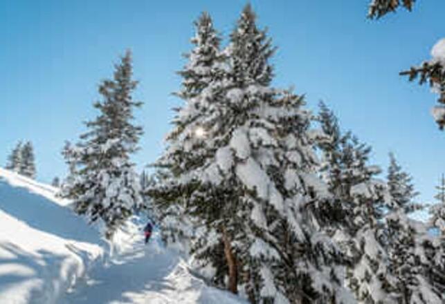 Tannheim               Foto: TVB Tannheimer Tal/Achim Meurer