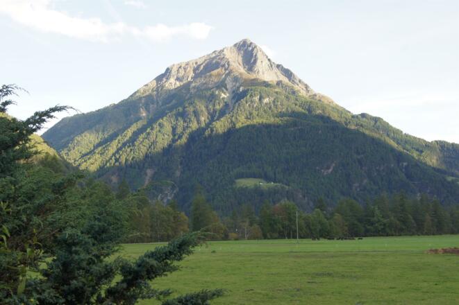 Aussicht zum Gamskogel vorm Haus