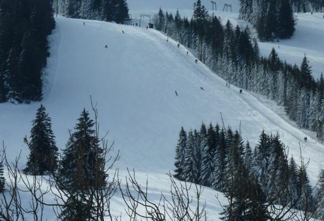 Blick auf die Skipiste