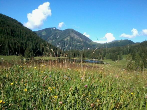 Seewaldsee-Ausflugsziel in St. Koloman