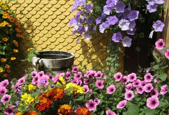 Biobauernhof Vilshof