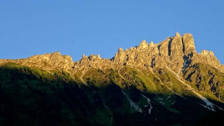 Elfer im Abendsonnenschein